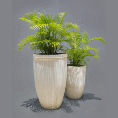 DECORATIVE PLANTS FOR DOUBLE OR MORE STANDS – PALMA AREKA